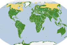 caribou range map