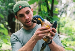 The Wings Financial World of Birds Show at the Minnesota Zoo supports efforts to improve nesting opportunities for critically endangered macaws in Bolivia.