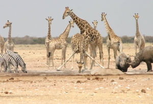 Namibia