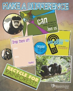 School-Recycle-for-Rainforests-Poster