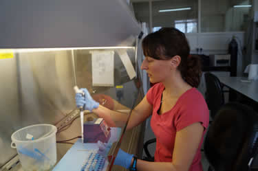 Tiffany pipetting